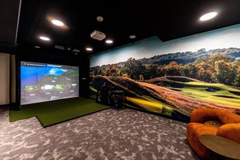 Golf simulator & billiards